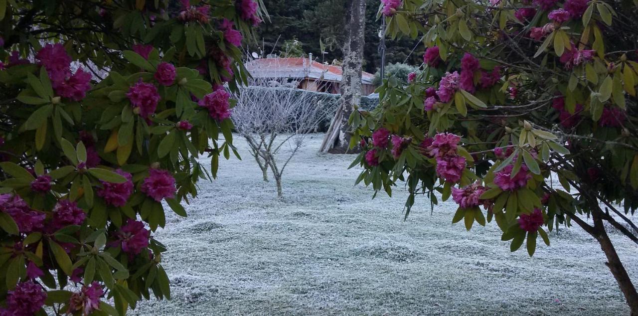 Recanto Da Natureza, Chale Gonçalves Exteriör bild