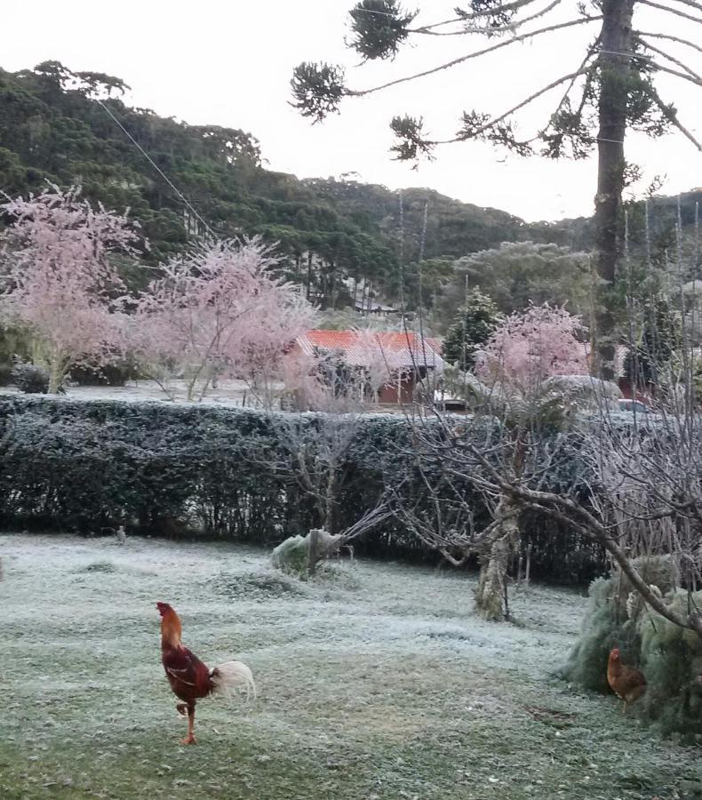 Recanto Da Natureza, Chale Gonçalves Exteriör bild