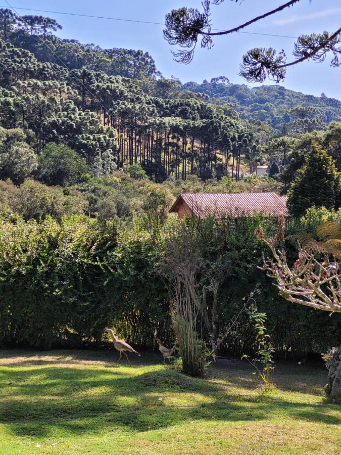 Recanto Da Natureza, Chale Gonçalves Exteriör bild